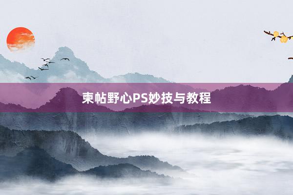柬帖野心PS妙技与教程