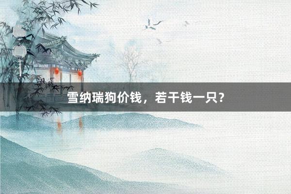 雪纳瑞狗价钱，若干钱一只？