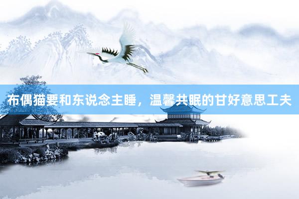 布偶猫要和东说念主睡，温馨共眠的甘好意思工夫