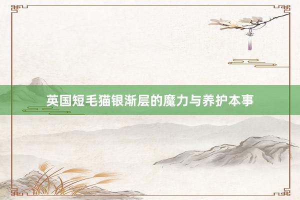 英国短毛猫银渐层的魔力与养护本事
