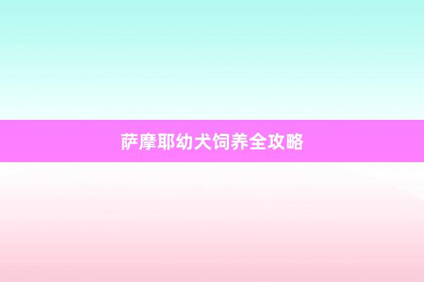萨摩耶幼犬饲养全攻略